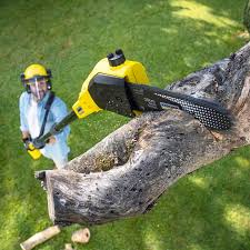 Lawn Maintenance Plans in Gordon, GA